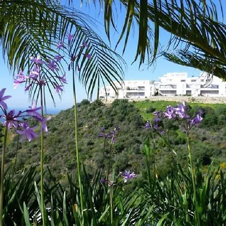 Luxurious With Area Marbella